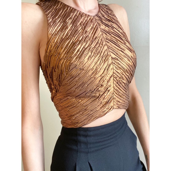 Torn by Ronny Kobo Tops - NWT Ronny kobo metallic bronze crop